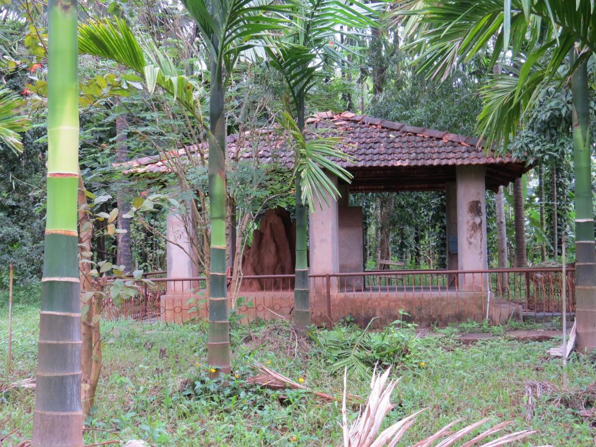 Sugamya Farm Guesthouse Sāgar Exterior foto