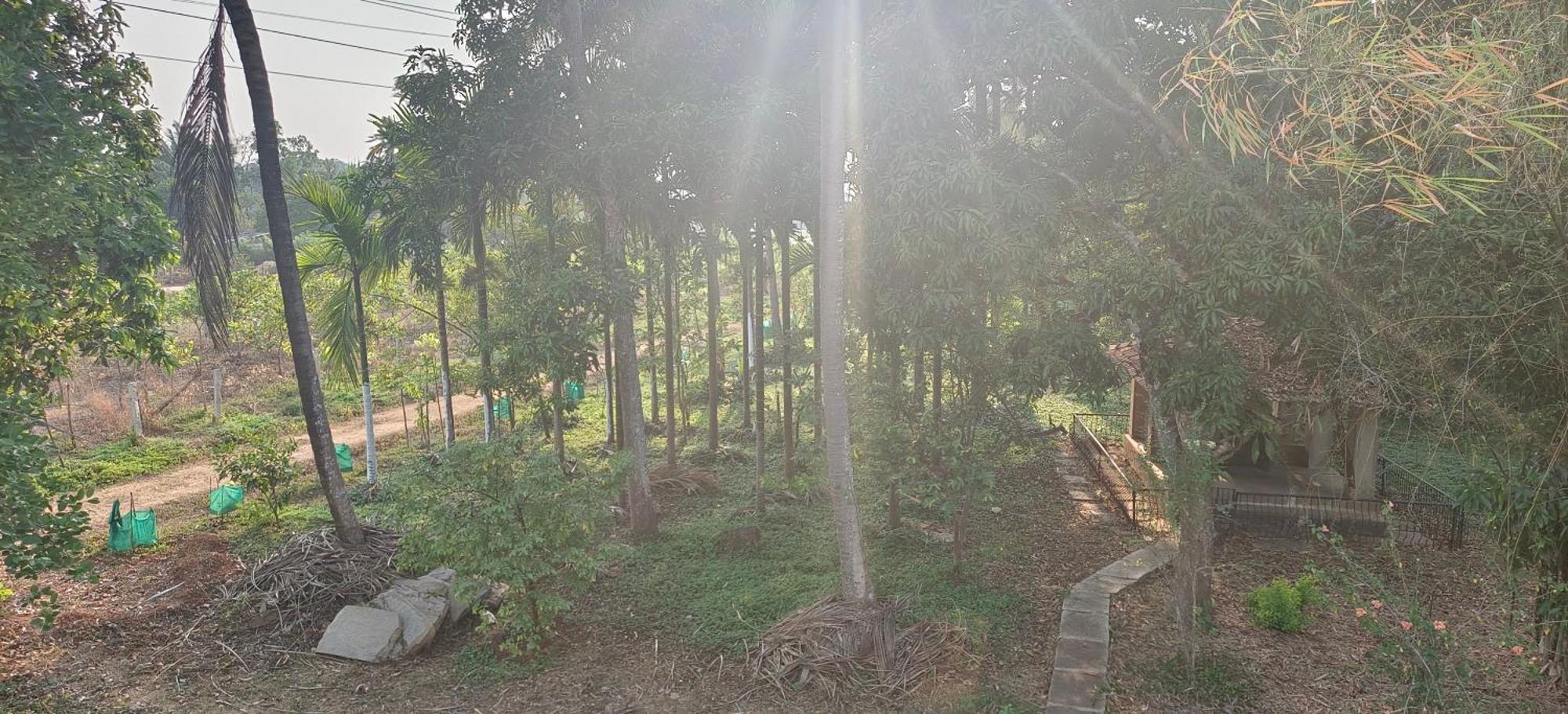 Sugamya Farm Guesthouse Sāgar Cameră foto
